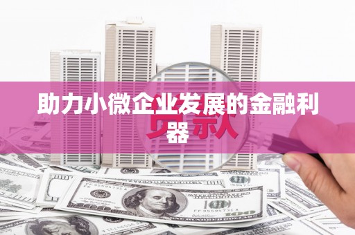 汉源助力小微企业发展的金融利器