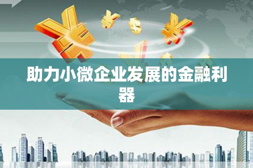 汉源助力小微企业发展的金融利器