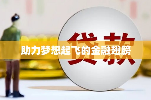 汉源助力梦想起飞的金融翅膀