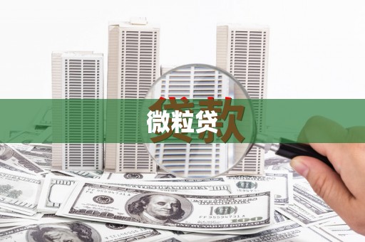 汉源微粒贷
