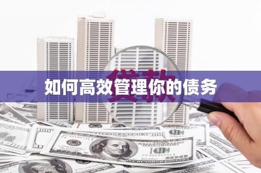 汉源如何高效管理你的债务