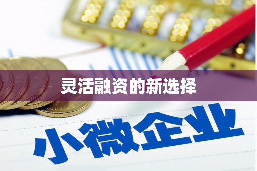 汉源灵活融资的新选择