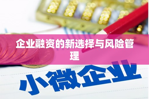 汉源企业融资的新选择与风险管理