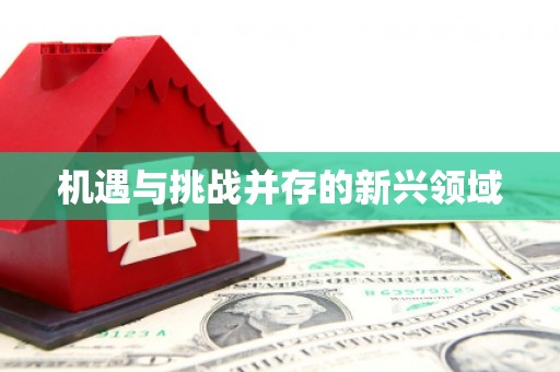 汉源机遇与挑战并存的新兴领域