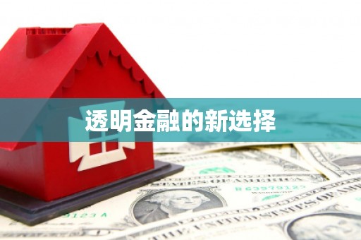 汉源透明金融的新选择