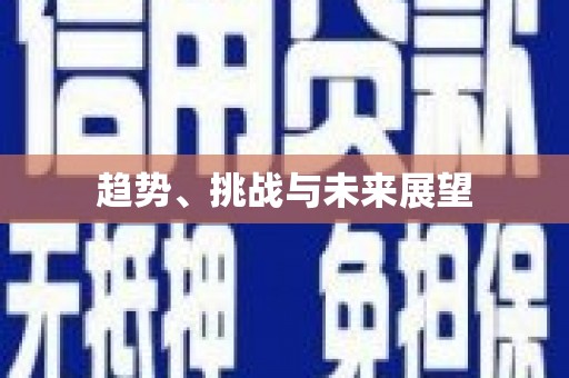 汉源趋势、挑战与未来展望