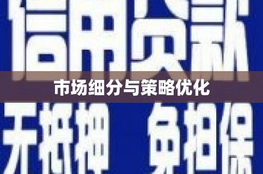 汉源市场细分与策略优化