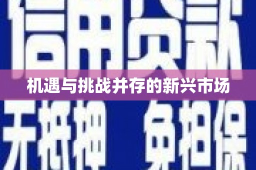 汉源机遇与挑战并存的新兴市场