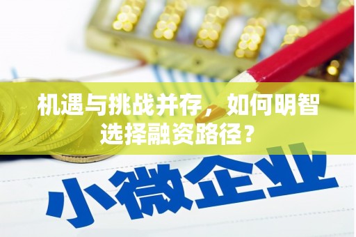 汉源机遇与挑战并存，如何明智选择融资路径？