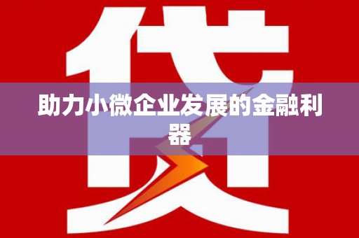 汉源助力小微企业发展的金融利器