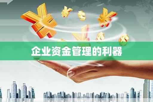 汉源企业资金管理的利器