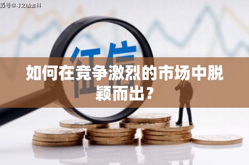 汉源如何在竞争激烈的市场中脱颖而出？