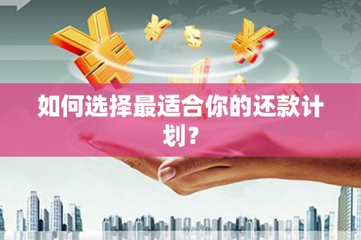 汉源如何选择最适合你的还款计划？