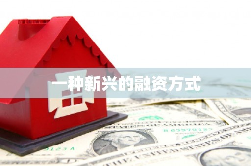 汉源一种新兴的融资方式