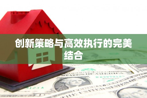 汉源创新策略与高效执行的完美结合