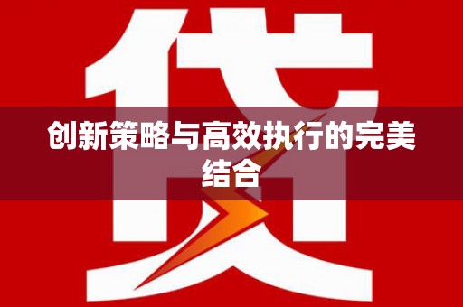 汉源创新策略与高效执行的完美结合