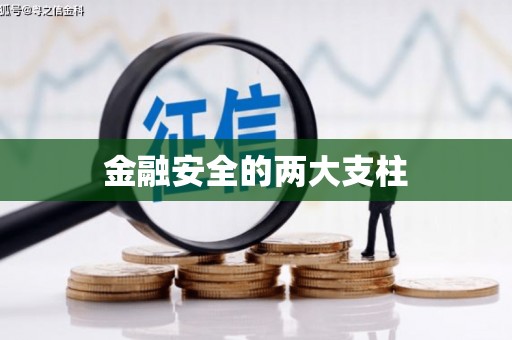 汉源金融安全的两大支柱