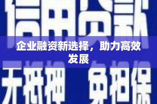 汉源企业融资新选择，助力高效发展