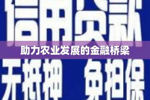 汉源助力农业发展的金融桥梁