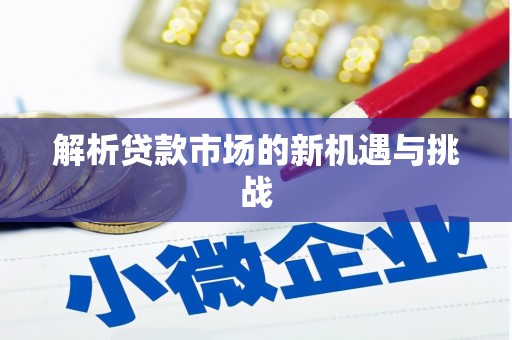 汉源解析贷款市场的新机遇与挑战