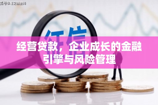 汉源经营贷款，企业成长的金融引擎与风险管理