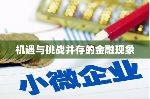 汉源机遇与挑战并存的金融现象