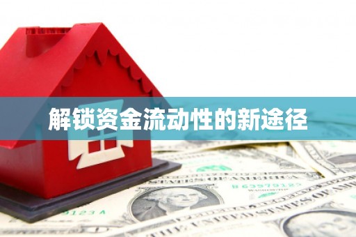 汉源解锁资金流动性的新途径