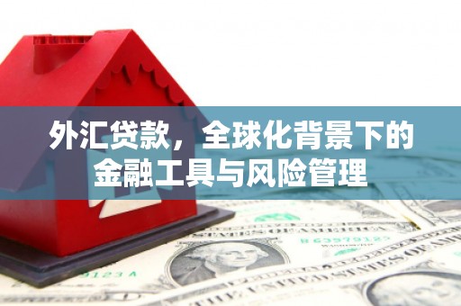 汉源外汇贷款，全球化背景下的金融工具与风险管理