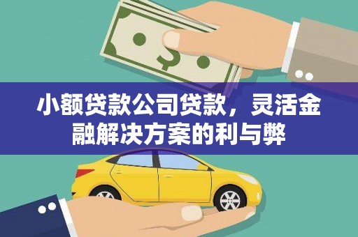 汉源小额贷款公司贷款，灵活金融解决方案的利与弊