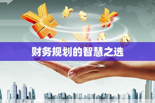 汉源财务规划的智慧之选