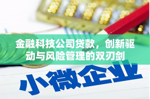 汉源金融科技公司贷款，创新驱动与风险管理的双刃剑